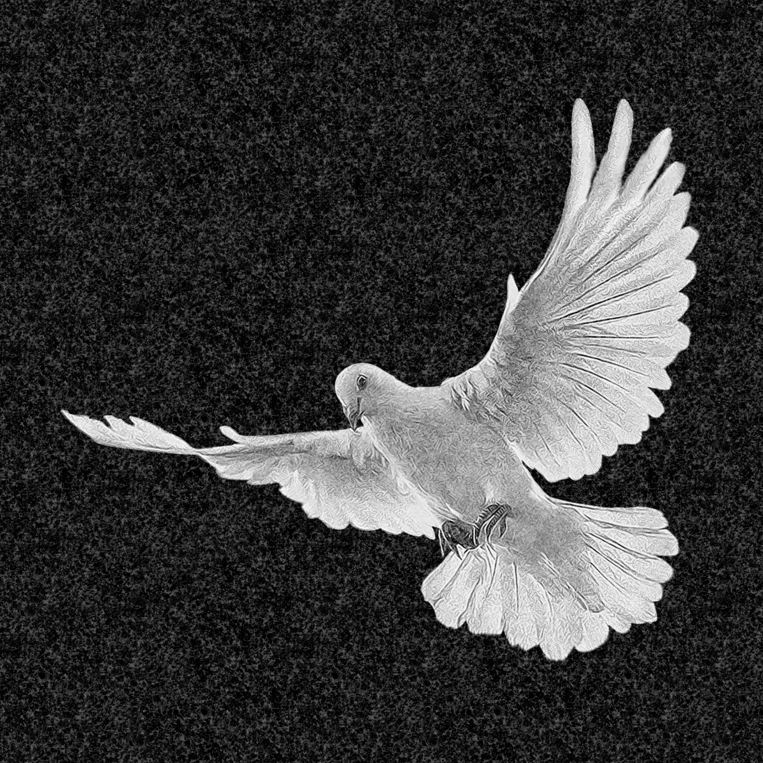 Рисунки | Рисунок на гранитную стелу, РГ-005